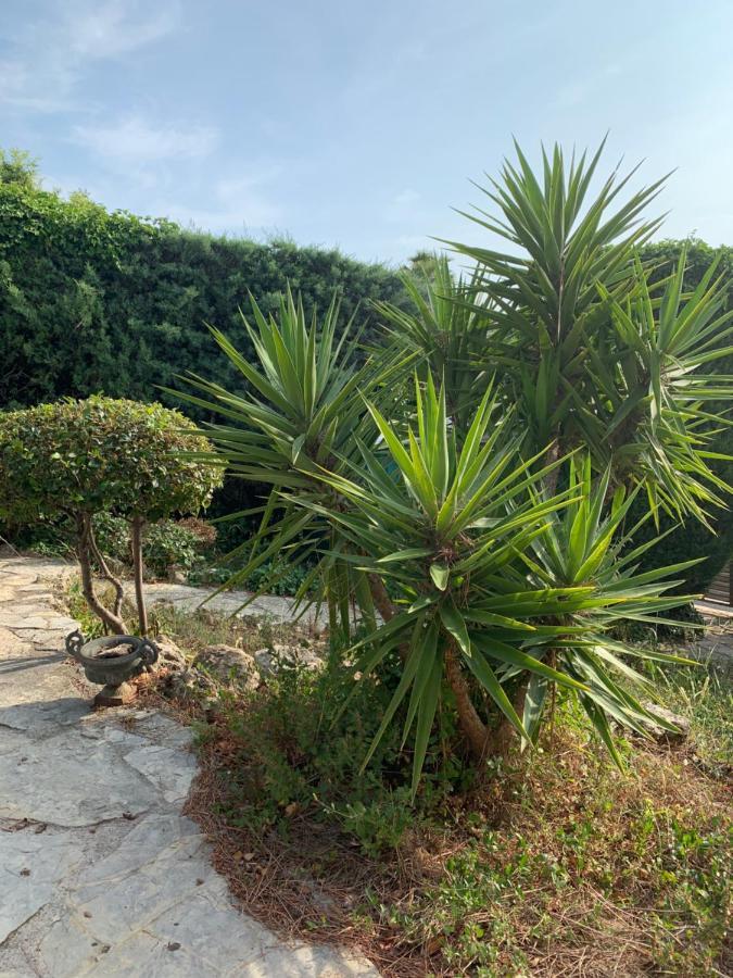 Villa Soledad كاسيس المظهر الخارجي الصورة